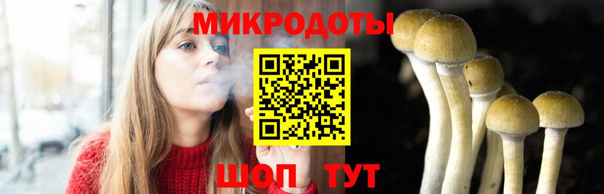 Галлюциногенные грибы Magic Shrooms Чехов